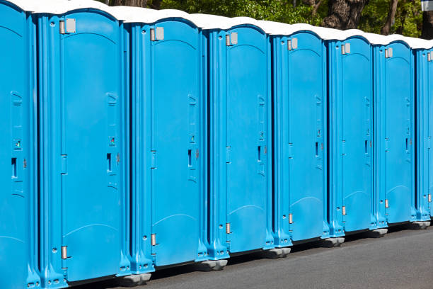 Best Portable Restroom Servicing (Cleaning and Restocking)  in Ponchatou, LA